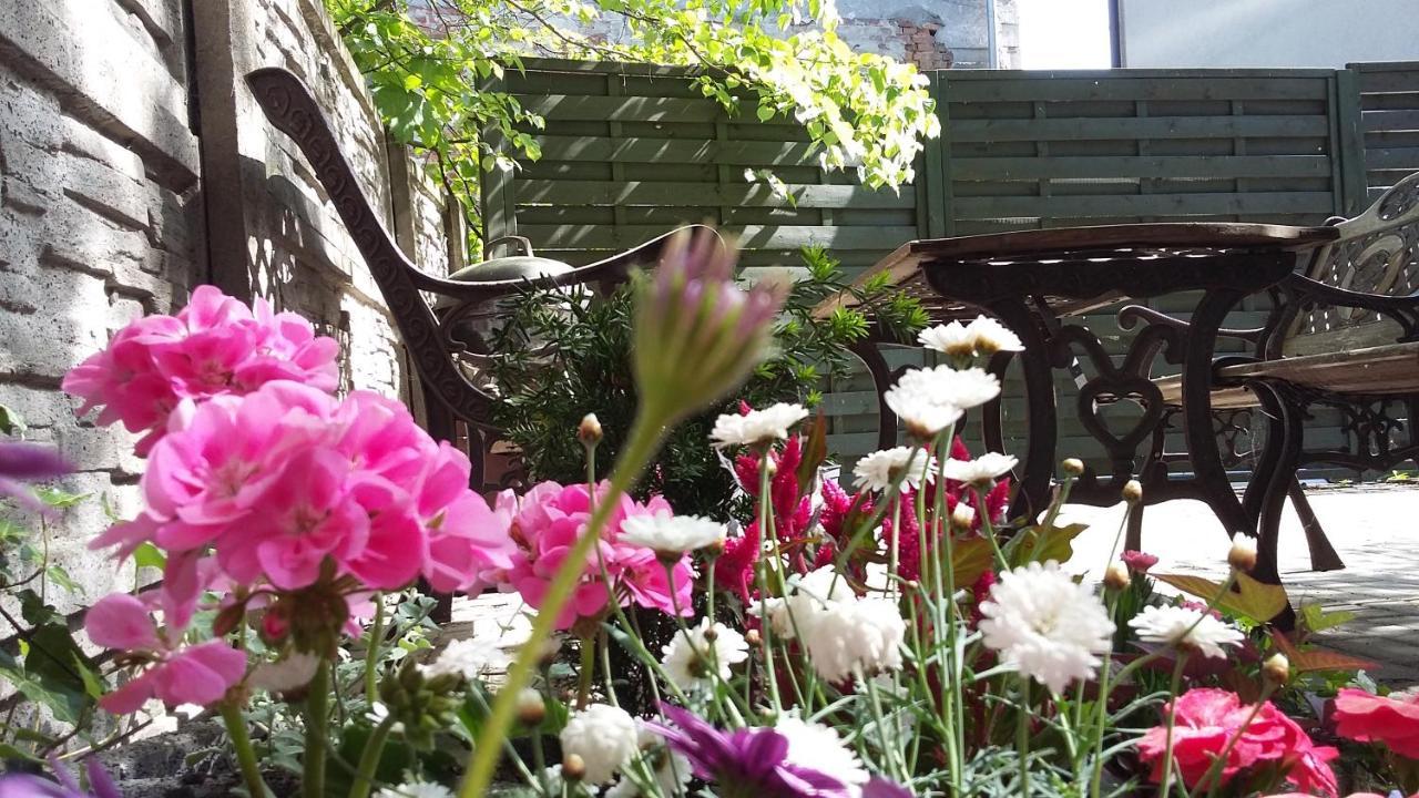 Apartamenty Krzywe Okna 지엘로나구라 외부 사진